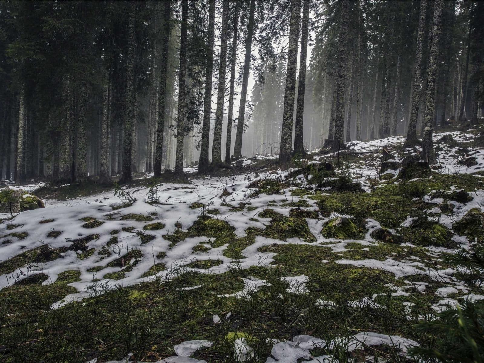 Studio XXth Avenue · scatto 5